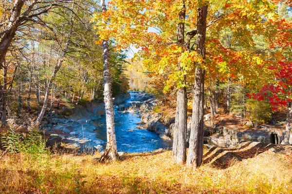 Coos Rapidi Flusso Scorrono Attraverso Foresta Colorata Autunnale Maine Stati — Foto Stock