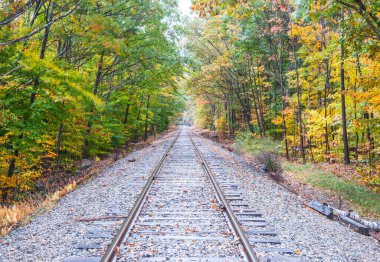 New Hampsire, Kancamagus Otoyolu 'ndaki Bears Notch' taki Uatumn renkli ormandan geçen tren hatları..
