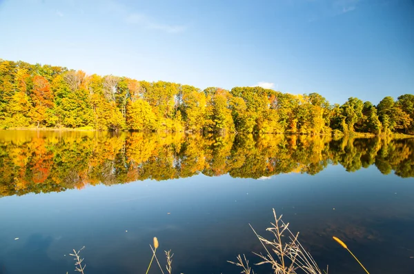 Vermont Brattlebro Yakınlarında Sonbahar Yeşillik Ormanıyla Kaplı Güzel Connecticat Nehri — Stok fotoğraf