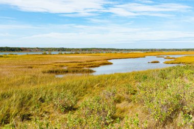 Martha 's Vineyard, Nerw England, ABD' deki Sengekontacket Gölü 'nün bataklıkları..