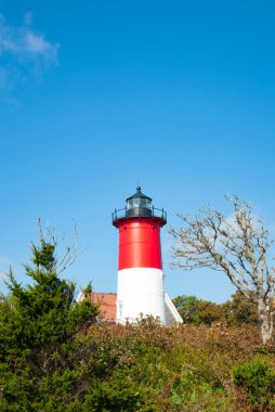 Nauset Sahili, sahil ve deniz feneri. Cape Cod, ABD.