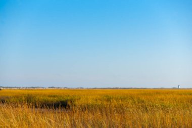 Long Point Bataklığı, Massachusetts, National Seashore tuzbataklığı ön planda, bulanık arka planda mavi gökyüzü altında.