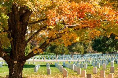 Arlington USA- 26 Ekim 2014; Arlington Ulusal Mezarlığı 'nın önde gelen hatları, Virginia' daki tarih öncesi milli asker ve kahramanlar mezarlığı Lincoln Anıtı 'nın köprüsünün karşısında..