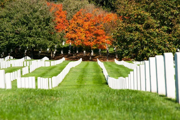 Arlington Usa Ottobre 2014 Leading Lines Arlington National Cemetery Lapidi — Foto Stock