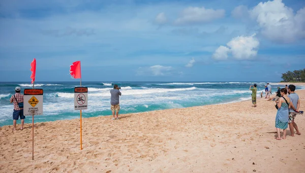 Hawaï États Unis Novembre 2014 Les Touristes Sur Plage Hawaïenne — Photo