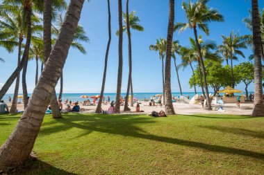 Hawaii ABD - 8 Kasım 2014; Palmiye ağaçları ve gölgeli tropikal plaj ve tropikal tatil hayatı yaşayan insanlar.