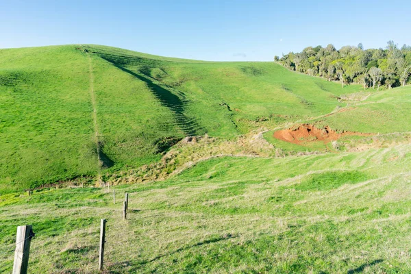 Typisches Neuseeländisches Ackerland Hügeliger Landschaft Mit Zaun Der Die Felder — Stockfoto