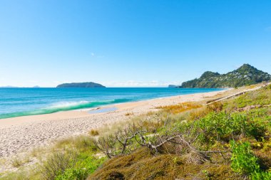 Tairua kasabası ve Yeni Zelanda, Coromandel Yarımadası 'ndaki plaj.