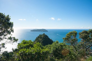 Yeni Zelanda 'nın Coromandel Yarımadası' ndaki Tairua sahilinden okyanus manzarası.