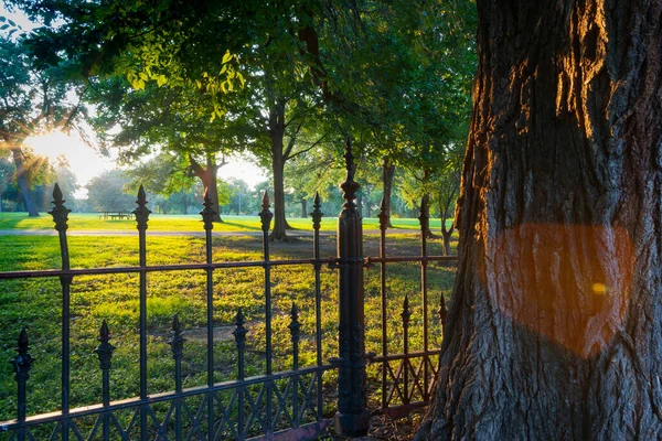 Largas Sombras Través Una Cerca Hierro Forjado Que Rodea Parque —  Fotos de Stock