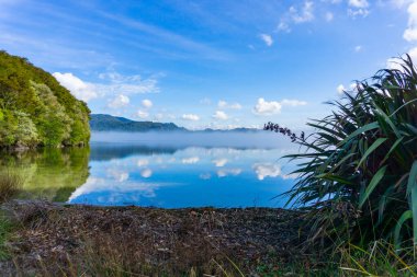Çalı ve keten arasında güzel sakin göl boyunca beyaz kabarık bulutlar suya yansıyor..