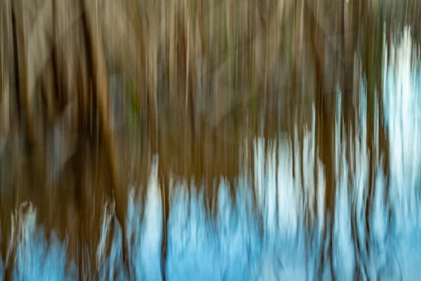 Abstrakte Bewegungsunschärfe Durch Raupo Oder Bulrush Die Sumpfigen Seeufer Des — Stockfoto