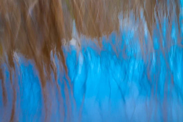 Abstract Bewegingsvervaging Effect Van Raupo Bulrush Groeien Moerassige Meerrand Van — Stockfoto