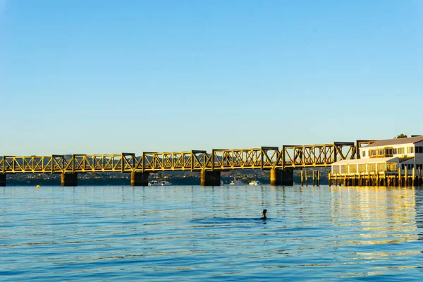 Tauranga Railway Bridge Catches Glow Sunrise Distance Blue Calm Water — Stock Photo, Image