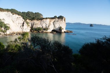Coromandel Yarımadası 'ndaki beyaz kumtaşı kayalıkları olan Stingray Körfezi' ne bakın..