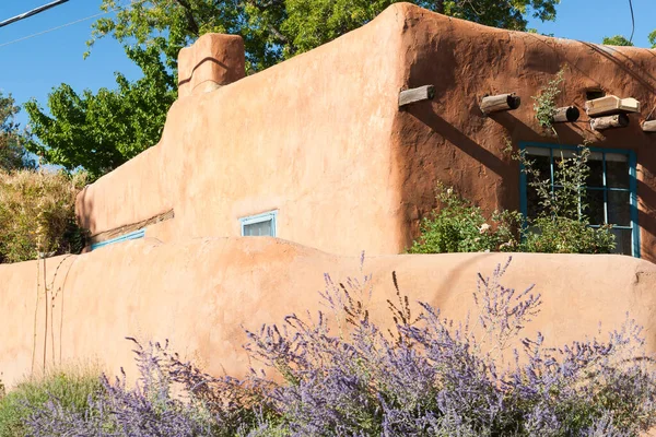 Зовнішня Стіна Фіолетові Польові Квіти Межами Стіни Стилі Пуебло — стокове фото