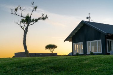 Tek başına yükselen ağaç, altın ve mavi sabah güneşiyle aydınlatılan evle birlikte.