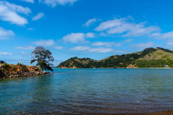 風光明媚な男O戦争湾とワイヘケ島のポイント上の1本の木とその周辺の土地ニュージーランド — ストック写真