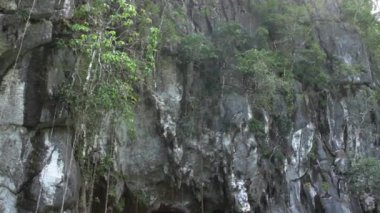 Yeraltı Nehri Mağarası 'nın Ağzı. Filipinler 'in Palawan Adası' ndaki Puerto Prensesi Yeraltı Ulusal Parkı 'nın girişine doğru yüzüyor..