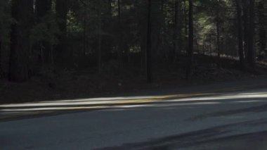 Arabalar Aralık 2018 kısmi hükümet kapatma Cumhurbaşkanı Donald Trump'ın bize-Meksika sınır duvardan Yosemite Milli Parkı gün girerken uyarı işareti.