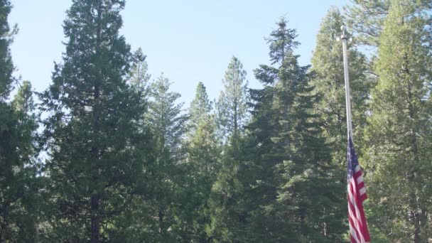 Auto Invoeren Met Vlag Aan Helft Mast Buiten Yosemite Nationaal — Stockvideo