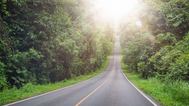 Güneş ışığı ile tropikal ağaçlar dağ yolda