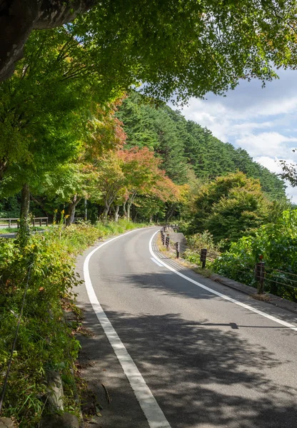 Camino Curvado Línea Vista Kohoku Nikko Japón —  Fotos de Stock