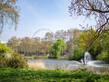 St James's Park at London, İngiltere