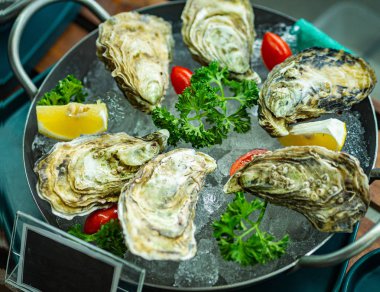 Vendee Atlantic Oyster yakın çekim