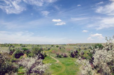 toprak yol ağaçları arasında Vadisi