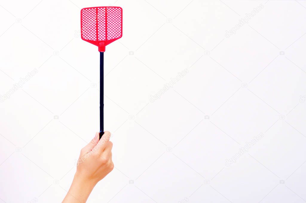 fly swatter in a woman's hand