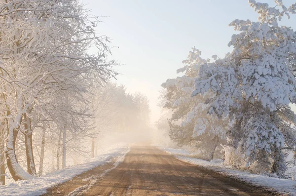 Fog Road Morning Winter Landscape Stock Picture