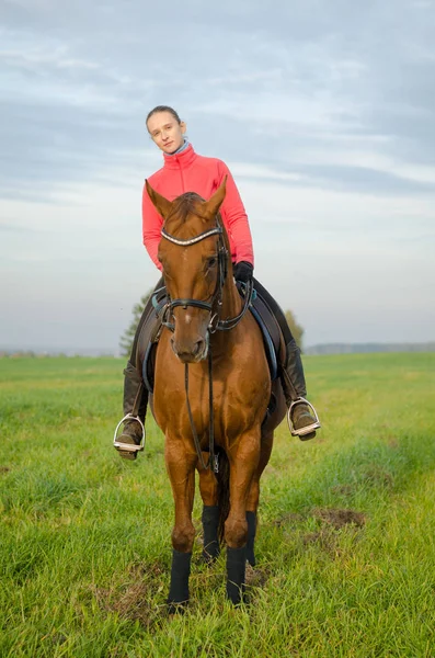 Женщина Верхом Лошади Зеленом Поле Осеннем Пейзаже — стоковое фото