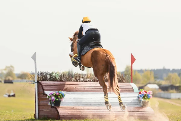 Retrato Cavalo Saltando Durante Competição Eventing — Fotografia de Stock