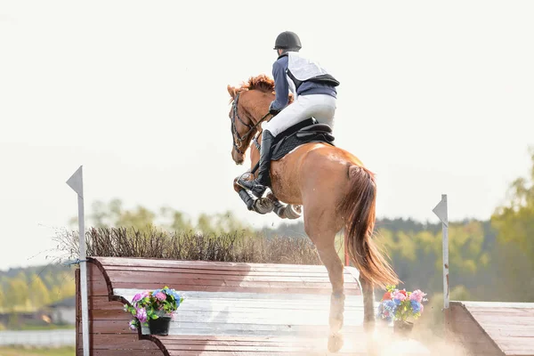 Pferdesport Vielseitigkeitsprüfung — Stockfoto