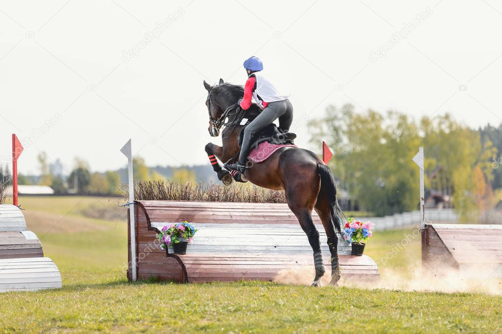 dark sorrel horse jumping during eventing competition