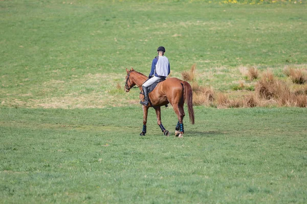 Retrato Caballo Jinete Perdiendo Competencia Eventing —  Fotos de Stock