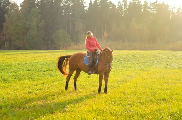 Młoda Kobieta Jazda Czerwonym Koniu Jesiennym Polu — Zdjęcie stockowe