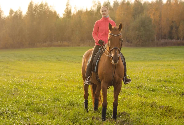 Porträt Einer Jungen Frau Und Eines Stutenpferdes Herbstfeld — Stockfoto