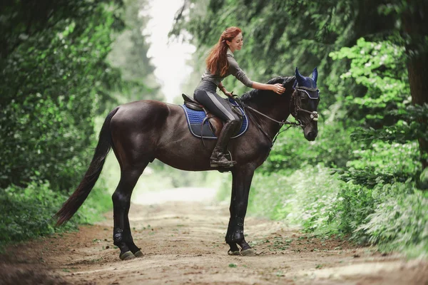 黒いハノーバー種馬に乗る魅力的な女性の肖像画 — ストック写真