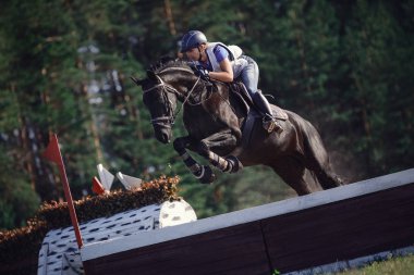 black horse with woman rider jumping over obstacle during eventing cross country competition in summer clipart