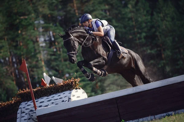 Svart Häst Med Kvinna Ryttare Hoppa Över Hinder Fälttävling Cross — Stockfoto