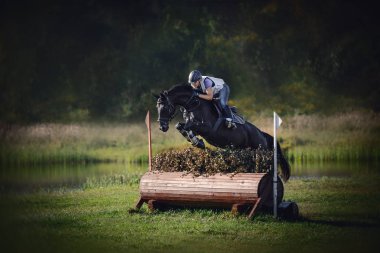 portrait of black horse with woman rider jumping over obstacle during eventing cross country competition in summer clipart