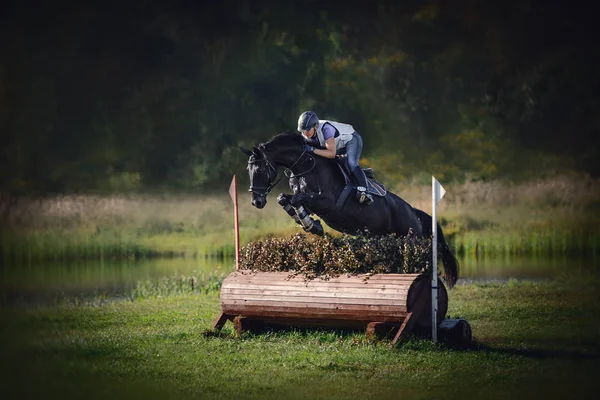 Portrait Black Horse Woman Rider Jumping Obstacle Eventing Cross Country — Stock Photo, Image