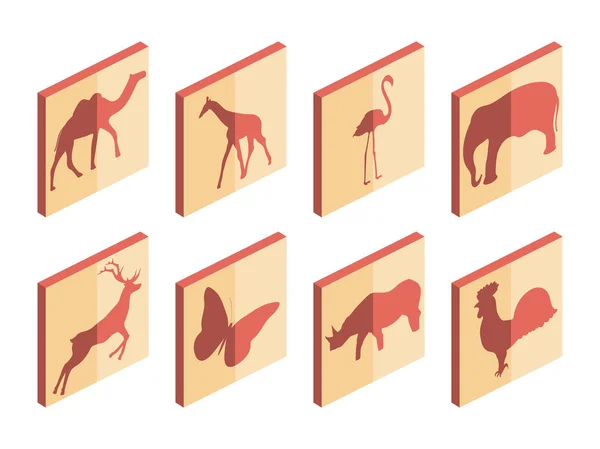 Nastavení Zvířat Izometrické Ikony Savci Ptáci Vektorové Ilustrace — Stockový vektor
