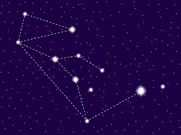 Созвездие волчанки. Ночное звездное небо. Векторная иллюстрация — стоковый вектор