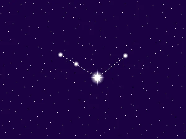 Constelación de bastones Venatici. Cielo nocturno estrellado. Ilustración vectorial — Vector de stock