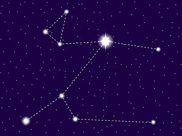 Constelación de Canis Major. Cielo nocturno estrellado. Ilustración vectorial — Vector de stock