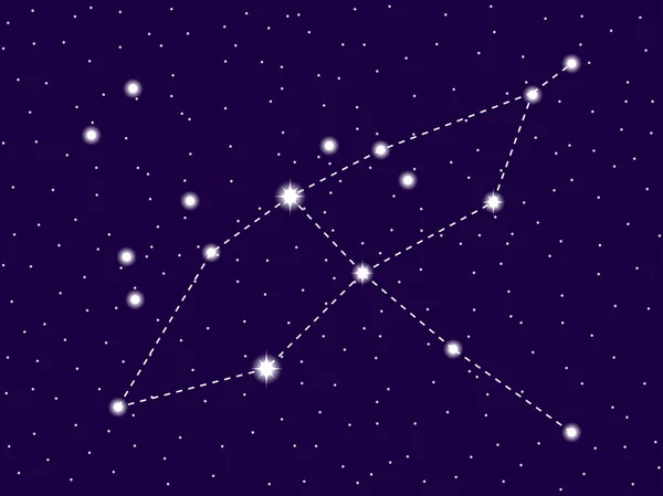 Stjärnbilden Cygnus. Starry natthimmel. Kluster av stjärnor och galaxer. Djupa rymden. Vektor illustration — Stock vektor