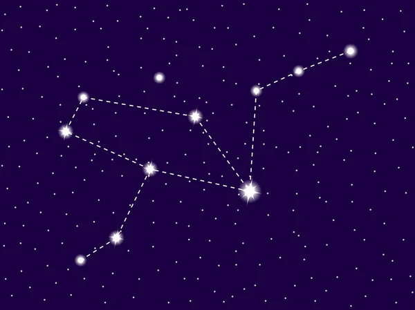 Constellation de Grus. Ciel étoilé. Cluster d'étoiles et de galaxies. Dans l'espace. Illustration vectorielle — Image vectorielle